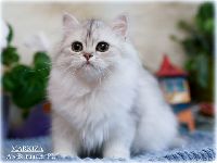 /markiza