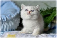 /babette
