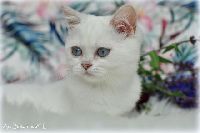 /babette