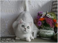 /galadriela