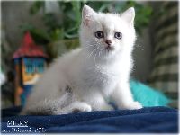 /milky