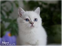 /milky