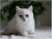 /milky