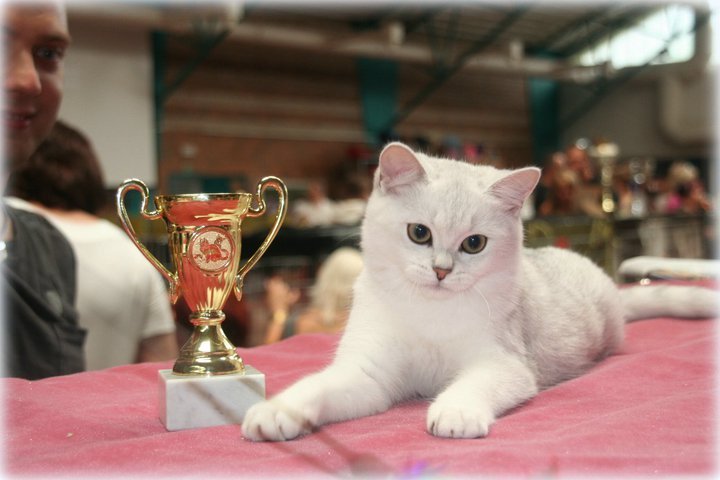 IC Ellada Anirette*EE